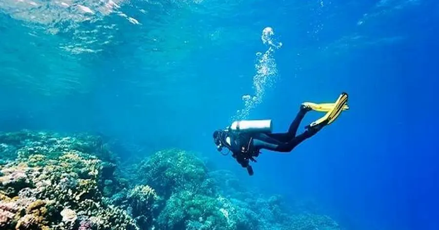 Discover the best experience at these 5 Snorkelling Spots in Goa
