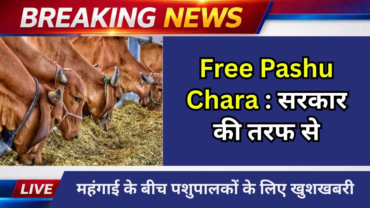 Free Pashu Chara